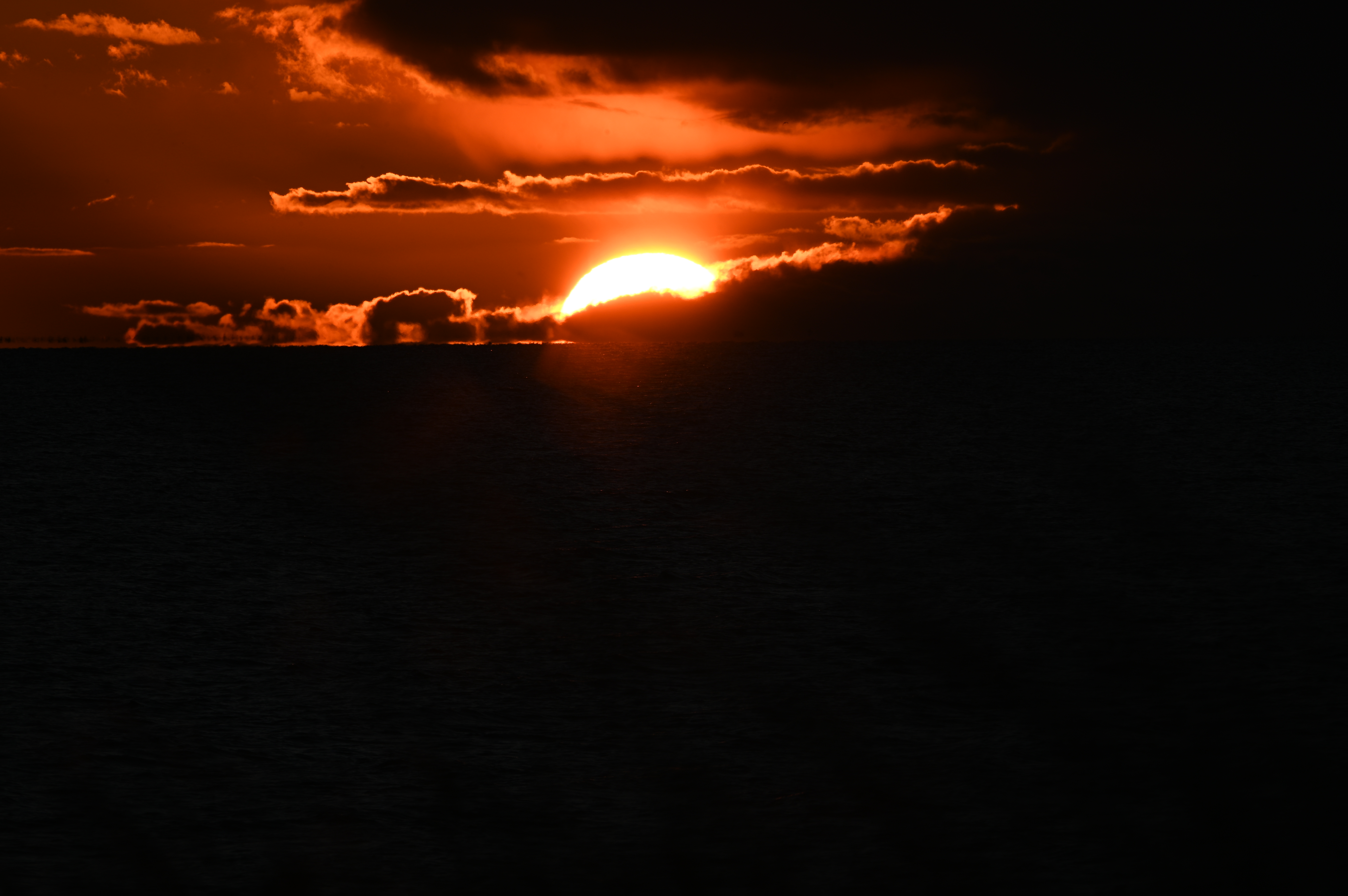 2025/10/18 - walk/DSC_0491.JPG